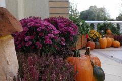 100_6867-Copy